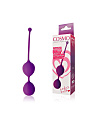 ����������� ����������� ������ COSMO [���������]