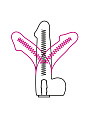 �������� ������������� "EROWOMAN" 14,5 ��, ������� 4 �� [���������]